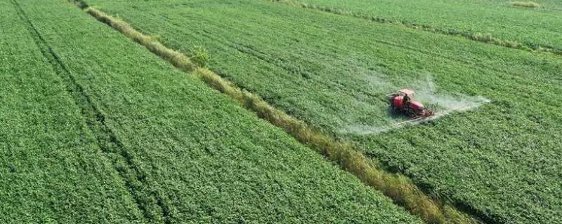 咪唑乙烟酸的作用