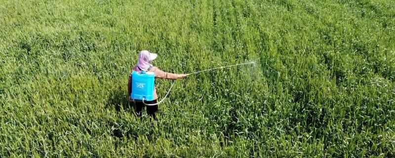 辛菌胺醋酸盐水剂主治哪种病害