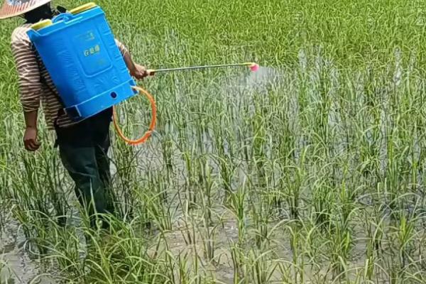 辛菌胺醋酸盐水剂主治哪种病害,包括苹果腐烂病、水稻恶苗病、大豆根腐病等类型