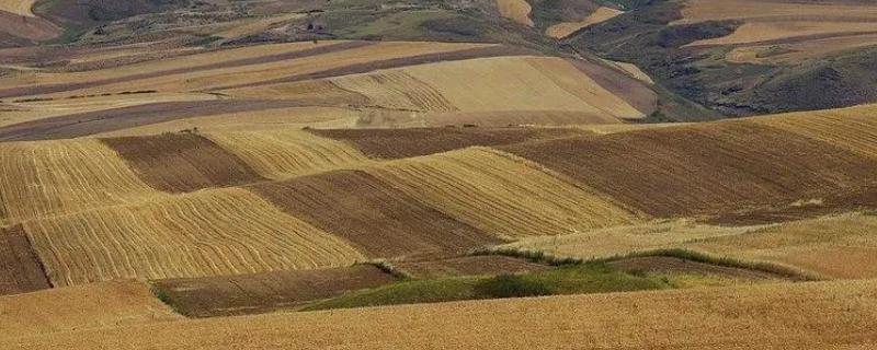 不适宜盖地膜的五类田地