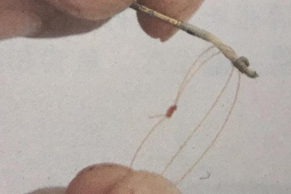 子线双钩绑法，绑在钩柄上要缠绕5-6圈