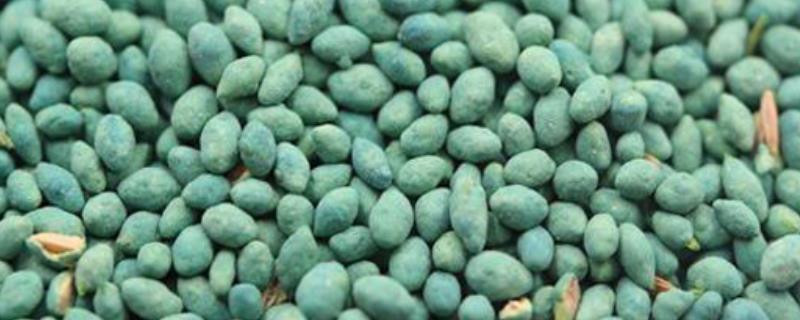 如何正确使用经过包衣的种子