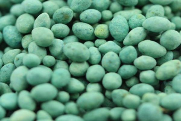 如何正确使用经过包衣的种子,播种时要戴防护手套