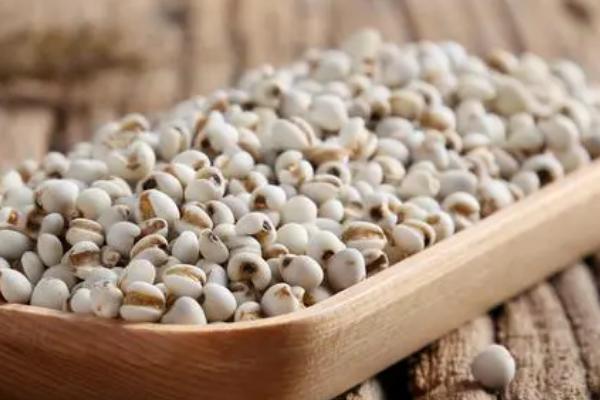 薏米的保存方法,洗净晾干后放入密封罐中即可