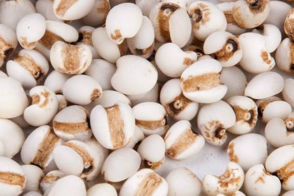 薏米的保存方法,洗净晾干后放入密封罐中即可