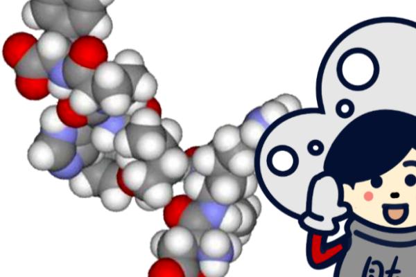多肽是什么,是氨基酸化合物