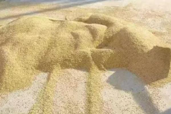 冬季稻种储存方法,要防止六忌的发生
