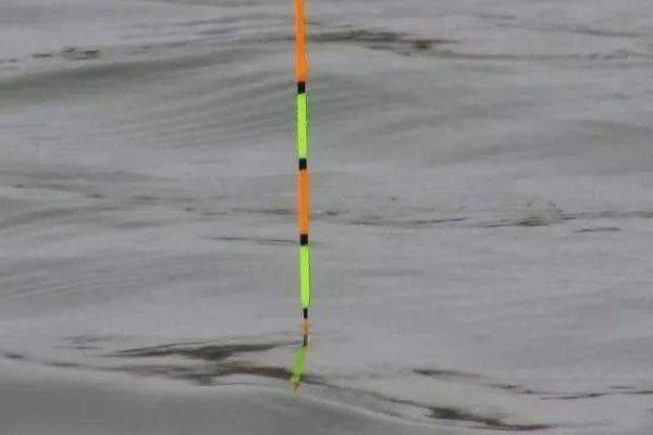 海竿钓白鲢鱼需要调漂吗,一般要在垂钓前调漂