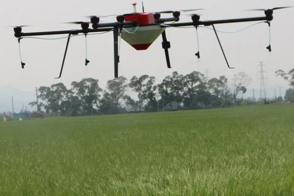 玉米苗前除草剂的使用注意事项,在大部分杂草尚未出土前喷施