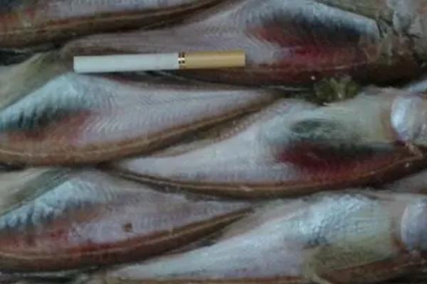 什么是朝鲜鱼，属于鳕形目、鳕科鱼类