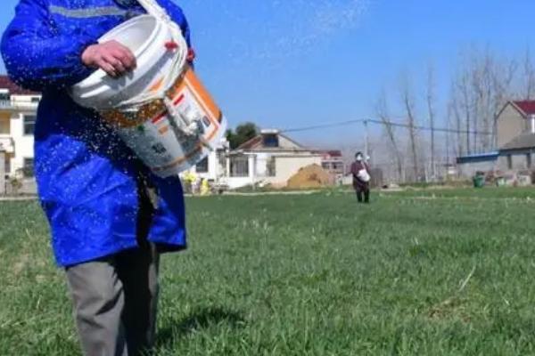 小麦3-4月份要施什么肥料,控缓释硫加钾尿素是适宜选择