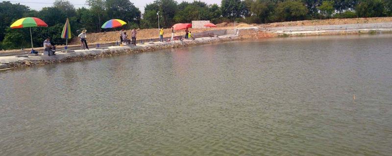 黑坑钓鱼调漂的正确方法