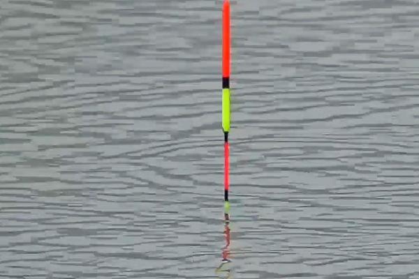 黑坑钓鱼调漂的正确方法，根据不同情况采用不同的调漂方式