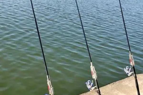 新手怎么使用海竿,绕线轮要用螺母固定住