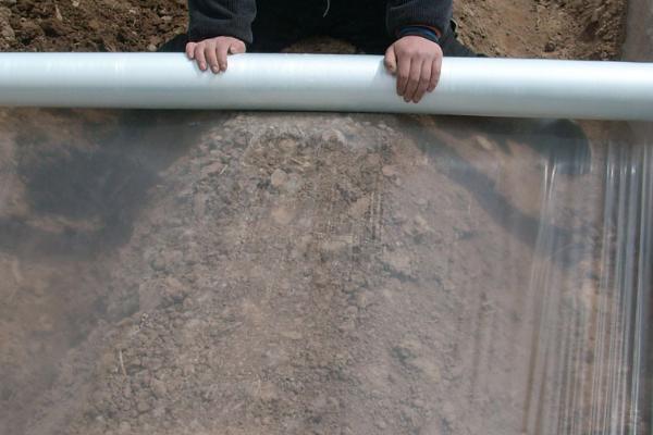 塑料农膜十大品牌，国风、汾江、清田、金田等品牌榜上有名