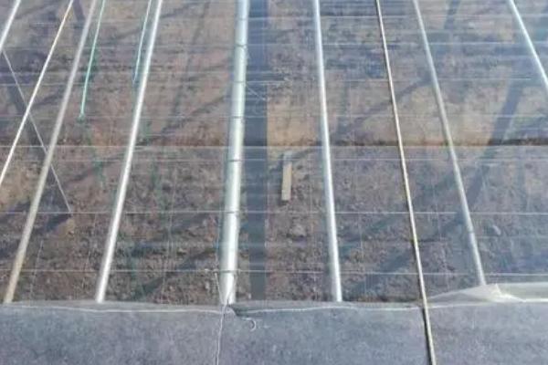 塑料农膜十大品牌，国风、汾江、清田、金田等品牌榜上有名