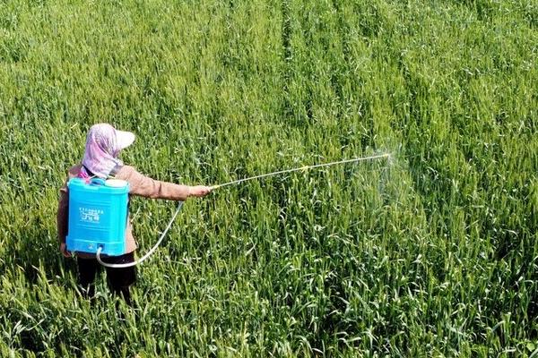 什么是水溶肥,是一种可以完全溶于水的复合型肥料