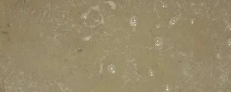 如何制做植物农药