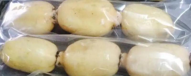 莲藕怎么贮藏保鲜