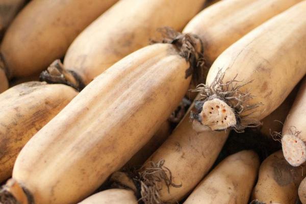 莲藕怎么贮藏保鲜,与湿沙相间叠放可保鲜60天左右