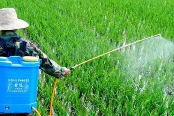 农药通常过多久失效,一般为2-3年