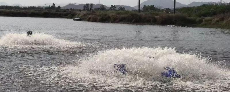 虾塘缺氧怎么解决