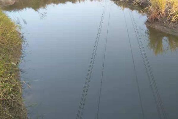 虾塘缺氧怎么解决,可以往池塘中泼洒一些增氧剂