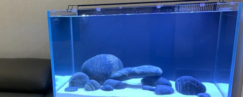 底滤鱼缸的水位如何调节