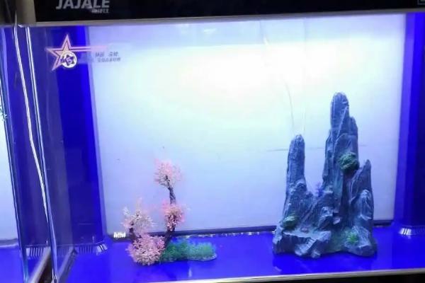 底滤鱼缸的水位如何调节,在溢流区放氧可降低水位