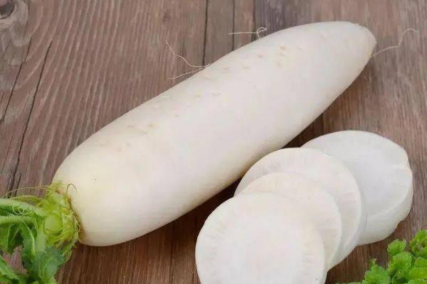 秋天有哪些蔬菜,包括香菜、芹菜、萝卜等品种