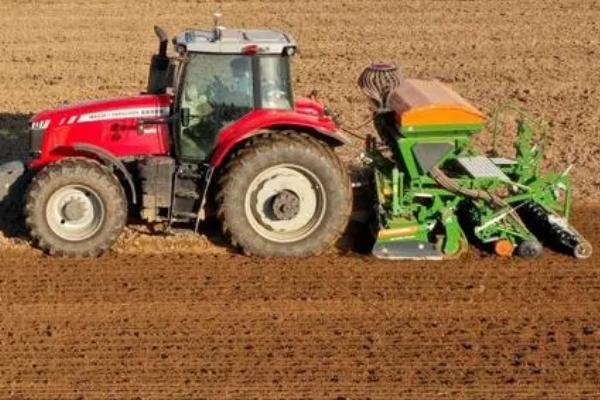 小麦播种期怎么防治病虫害，适当晚播可减轻全蚀病、根腐病等病害的发生