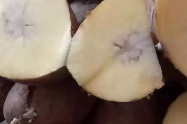 产生马铃薯黑心的原因,主要是高温和通风不良导致