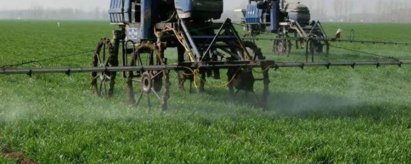 小麦田出现严重的病虫草害怎么防治