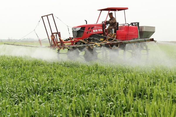 小麦田出现严重的病虫草害怎么防治，需关注害虫发生动态、根据实际情况喷洒药剂