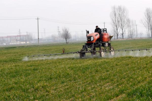 小麦田出现严重的病虫草害怎么防治，需关注害虫发生动态、根据实际情况喷洒药剂