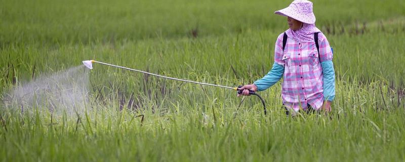 葡萄专用膨大剂介绍