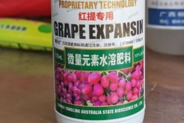 葡萄专用膨大剂介绍,属于植物生长调节剂、使用后可让果实增大