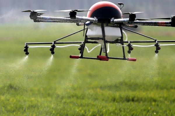 种植根菜类蔬菜怎么防治杂草,移栽前可用二甲戊灵兑水喷雾