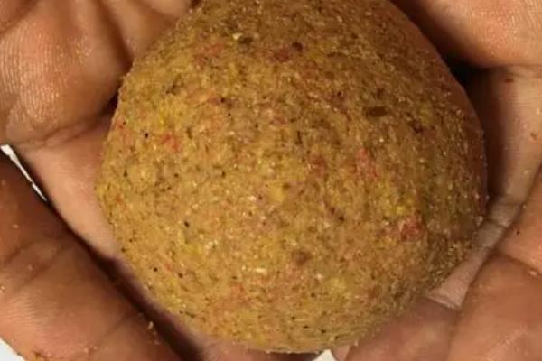 逗钓鲤鱼用什么饵料,活饵以及谷物饵料都适用