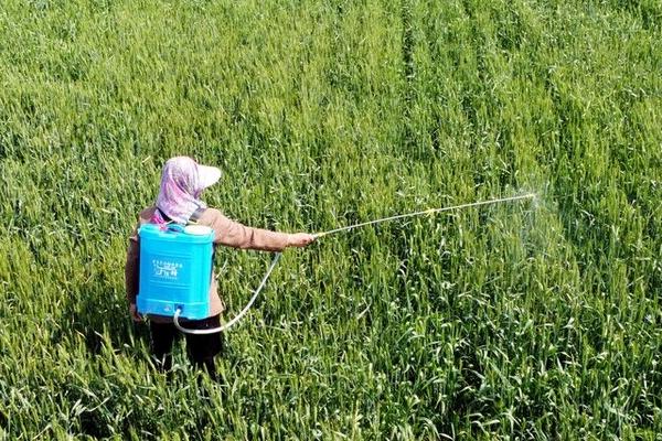 矿物油农药比其它农药有什么优势,具有持效时间长、毒性低、防治对象广泛等优点