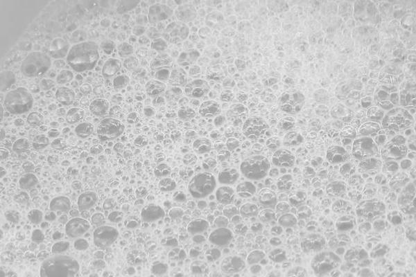 蟑螂的生活习性,喜暗怕光、昼伏夜出