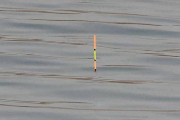 黑坑钓鲤鱼经典饵料配方,常见饵料有螺鲤3号、天下鲤、速攻湖库篇等