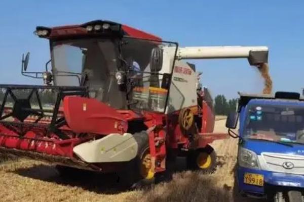 使用豆类收割机要注意什么,与拖拉机配套使用可提高效率