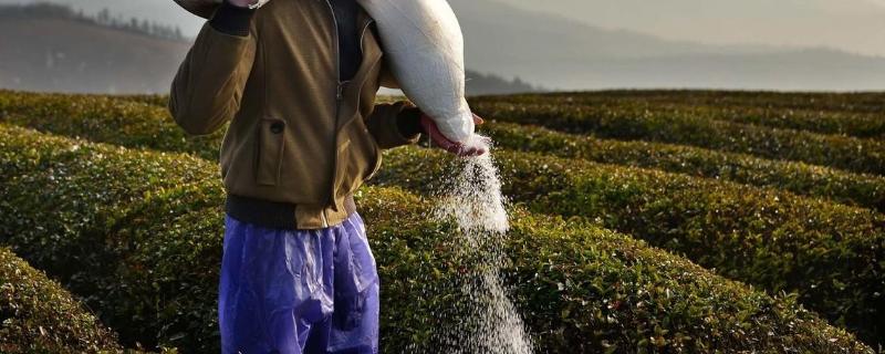 气候条件与施肥有什么关系