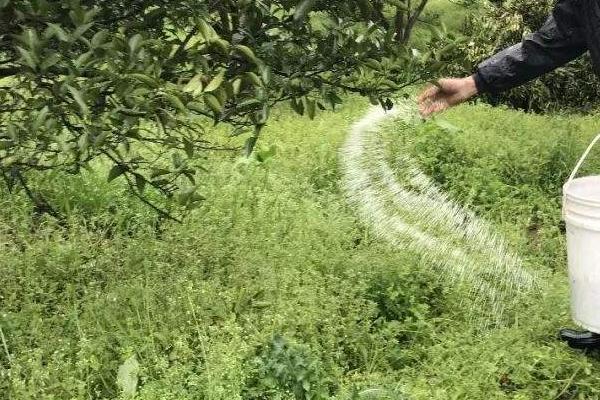 气候条件与施肥有什么关系,多雨季节有助于肥料分解