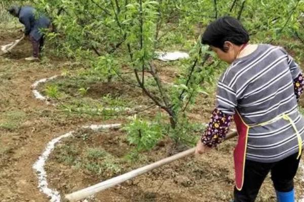 气候条件与施肥有什么关系,多雨季节有助于肥料分解