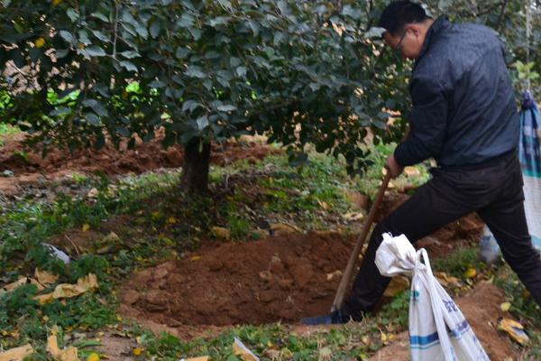 气候条件与施肥有什么关系,多雨季节有助于肥料分解