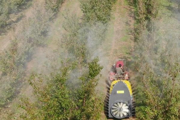 不能在果园使用的除草剂有哪些,同一除草剂不能在不同的果树上使用