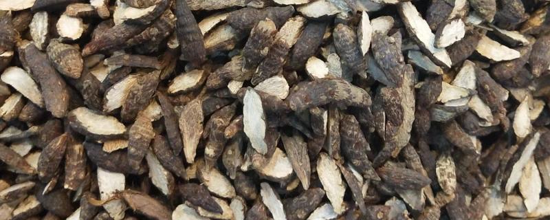 香附亩产多少斤