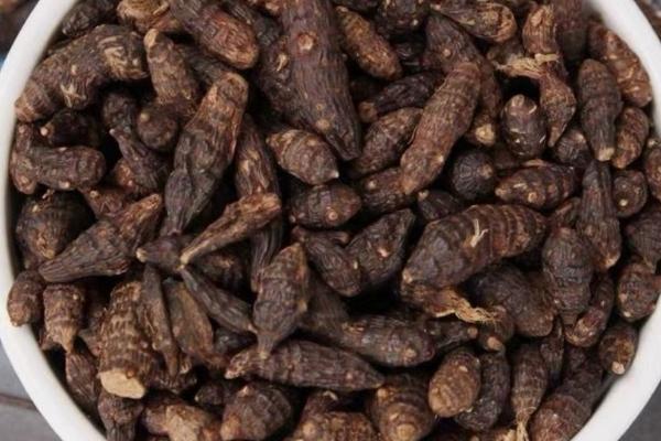 香附亩产多少斤,亩产8000-10000斤